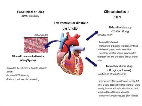 severely decreased lv systolic function